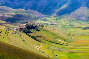 Ben campi di lenticchie, le colline e l 'altipiano di Castelluccio di Norcia, parco nazionale dei Monti Sibillini, Umbria, Italia, durante una nuvolosa giornata estiva, Italia