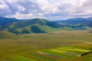 Le colline e il pian Grande dell'altipiano di Castelluccio di Norcia durante la fioritura dei campi di lenticchie in una nuvolosa giornata estiva, parco nazionale dei Monti Sibillini, Umbria e Marche, Italia