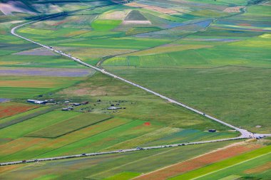 Le colline e il pian Grande dell'altipiano di Castelluccio di Norcia durante la fioritura dei campi di lenticchie in una nuvolosa giornata estiva, parco nazionale dei Monti Sibillini, Umbria e Marche, Italia