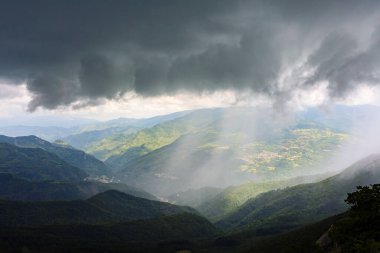 La fioritura nei campi di lenticchie dell 'altipiano di Castelluccio di Norcia, nel parco Nazionale dei Monti Sibillini, Umbria e Marche, Italia, in una giornata nuvolosa d' state.