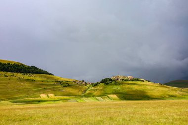 La fioritura nell 'altipiano di Castelluccio di Norcia, Umbria, İtalya