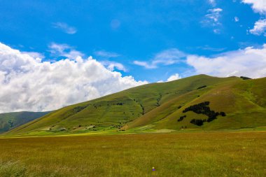 Ben colorati campi di lenticchie durante la fioritura sull 'altipiano di Castelluccio di Norcia, Umbria, Italia