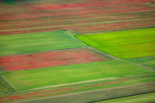 I campi di lenticchie, le colline e l'altipiano di Castelluccio di Norcia, parco nazionale dei Monti Sibillini, Umbria, Italia, durante una nuvolosa giornata estiva, Italia