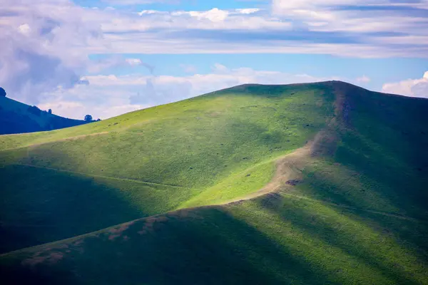 Ben campi di lenticchie, le colline e l 'altipiano di Castelluccio di Norcia, parco nazionale dei Monti Sibillini, Umbria, Italia, durante una nuvolosa giornata estiva, Italia