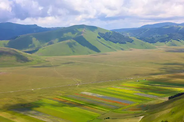 Le colline e il pian Grande dell'altipiano di Castelluccio di Norcia durante la fioritura dei campi di lenticchie in una nuvolosa giornata estiva, parco nazionale dei Monti Sibillini, Umbria e Marche, Italia