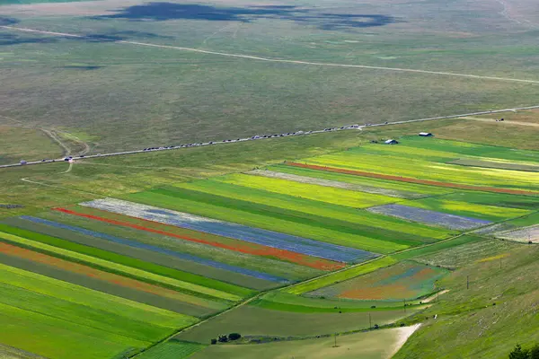 Le colline e il pian Grande dell'altipiano di Castelluccio di Norcia durante la fioritura dei campi di lenticchie in una nuvolosa giornata estiva, parco nazionale dei Monti Sibillini, Umbria e Marche, Italia