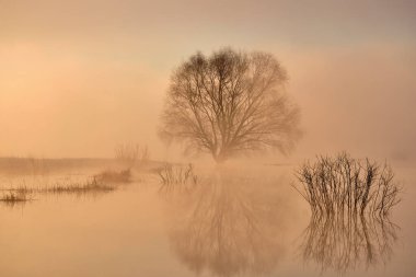 Gölde puslu sabah