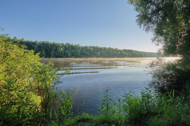 Nehir kenarında güneşli şafak.