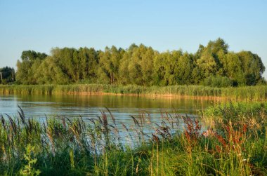 Akşamleyin gölün kenarında.