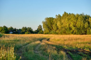 Akşamleyin gölün kenarında.