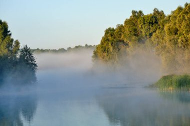 Nehirde sisli bir sabah