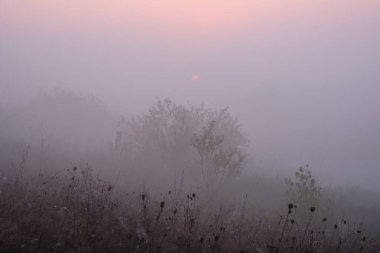 Sahada sisli şafak.