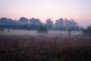 Sahada sisli şafak.
