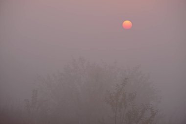 Sahada sisli şafak.