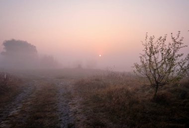 Nehirde sisli bir sabah