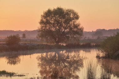 Nehrin üzerinde gün doğumu