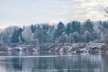 Vazonun yanında duran elbiseli bir kız.