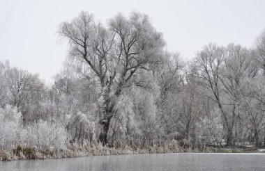 Sis, buzun içine çöktü..