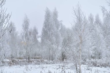 Sis, buzun içine çöktü..