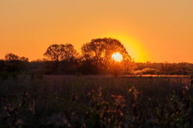 Gölün üzerinde soğuk şafak.
