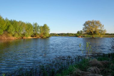 Gölün üzerinde soğuk şafak.
