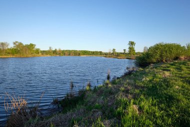 Bahar sabahı göl kenarında.
