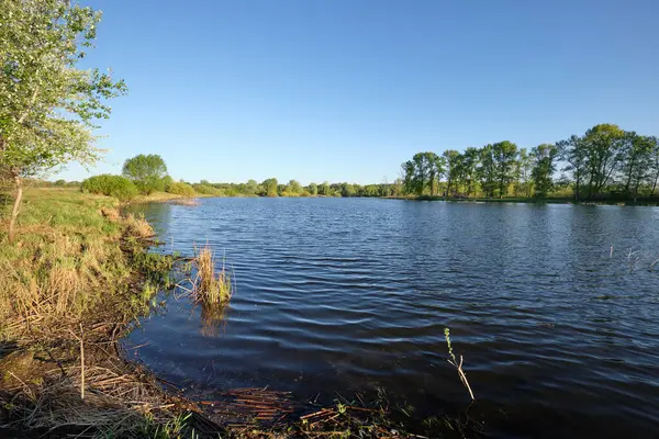 Bahar sabahı göl kenarında.