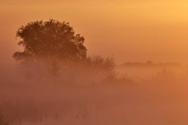 Gölde bahar şafağı.