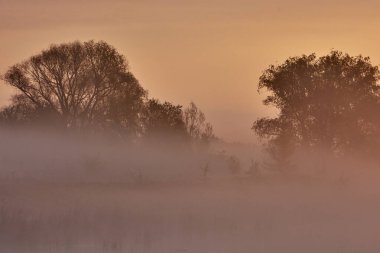 Gölde bahar şafağı.