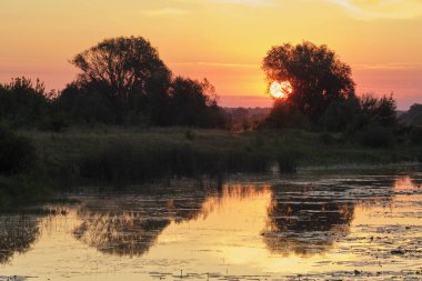 Gölde temmuz şafağı.