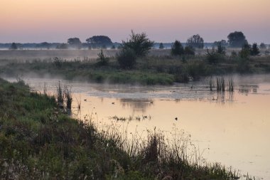 Gölün üzerinde puslu şafak.