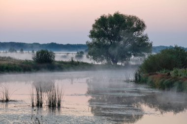 Gölün üzerinde puslu şafak.