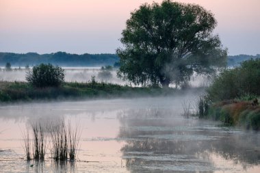 Gölün üzerinde puslu şafak.