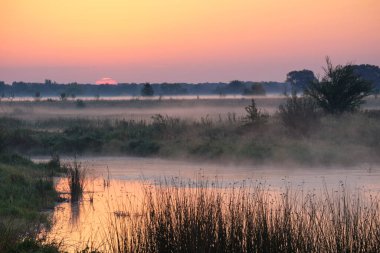 Gölün üzerinde puslu şafak.