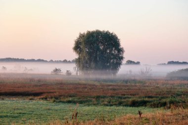 Gölün üzerinde puslu şafak.