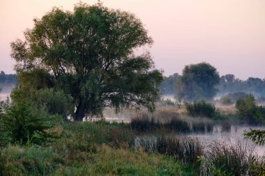 Gölün üzerinde puslu şafak.