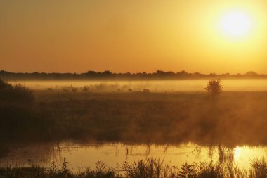Gölün üzerinde puslu şafak.