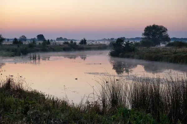 Gölün üzerinde puslu şafak.