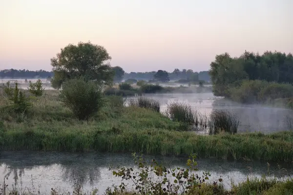 Gölün üzerinde puslu şafak.