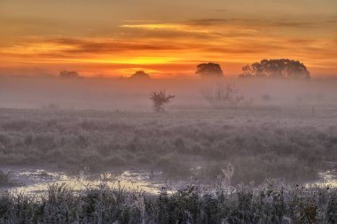 Gölün arkasındaki tarlada sisli şafak.
