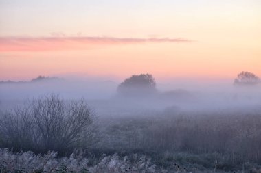 Sahada sisli şafak .
