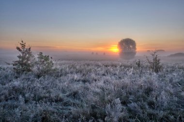 Sahada sisli şafak .