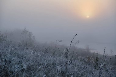 Gölün arkasındaki tarlada sisli şafak.