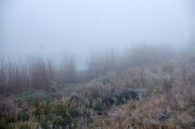Sahada sisli şafak.