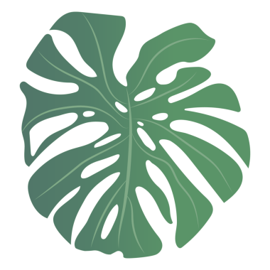 Şeffaflık arka planında canavar yaprağı çizilmiş.