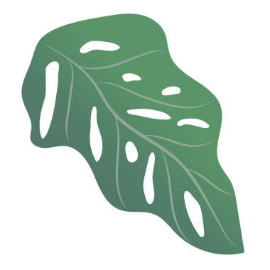 Canavar yaprakları şeffaflık arka planında izole edilir