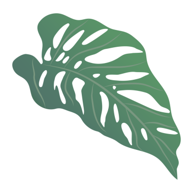 Canavar yaprakları şeffaflık arka planında izole edilir