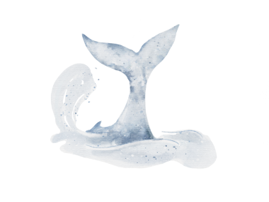 Mavi balina kuyruğu ve suluboya çizimleri şeffaflık arka planında izole edilmiş.