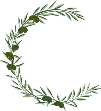 Beyaz arkaplanda zeytin izole edilmiş dekoratif çiçek çerçevesi