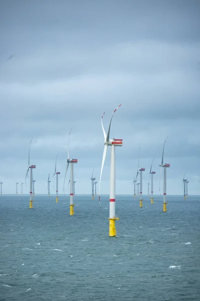 Offshore Windpark Voor Hernieuwbare Energie — Stockfoto